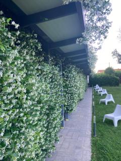 Mxp Rooms Guest House - Cardano al Campo - 7