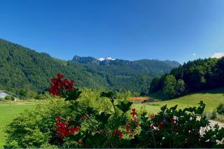 Gschwendtnerhof App23 Christ - Aschau im Chiemgau - 8