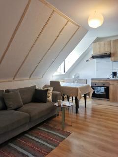 2e étage appartement entier 3 pièces idéal 2 personnes, 2 chambres communiquantes en enfilade, WIFI, espace travail parking gratuit - Mulhouse - 8