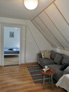 2e étage appartement entier 3 pièces idéal 2 personnes, 2 chambres communiquantes en enfilade, WIFI, espace travail parking gratuit - Mulhouse - 7