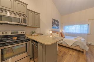 Arrowhead #4 - Walking distance to downtown Saugatuck, Updated studio - Saugatuck - 6
