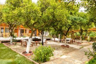 Orange Garden Hotel Akyaka - Akyaka - 2