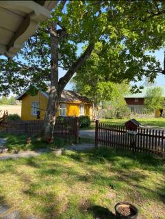 Farm stay in cozy cabin at Vestre Kinn - Ørje - 9