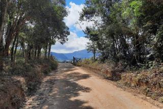 Casa Laranja da Paz e Harmonia - Colméia de Sonhos - Altamira - 1