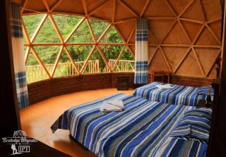 Ecolodge Majestic Sky Domes B&B - Sahuayacu - 8