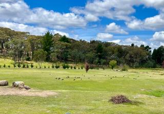 The Bunker - Mullion Creek, NSW - Mullion Creek - 9