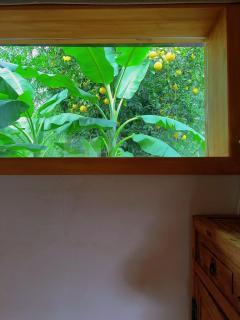 South of Shushan - On the left bank - 8