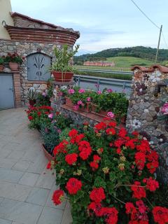 ReginaSerena - Certaldo - 8