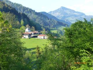 Schweinsteiger Hof - Gästehaus in den Bayerischen Alpen - Oberaudorf - 9