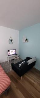 Le Nakaï , Petit Studio Sympa, plein centre-ville - Monistrol-sur-Loire - 9