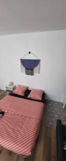 Le Nakaï , Petit Studio Sympa, plein centre-ville - Monistrol-sur-Loire - 3