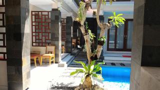 Nyaman Guest House - Sanur - 3