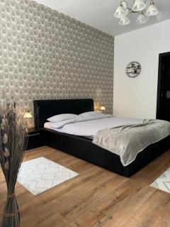 Ada's Luxury Apartament&Studio - Old City - Braşov - 9