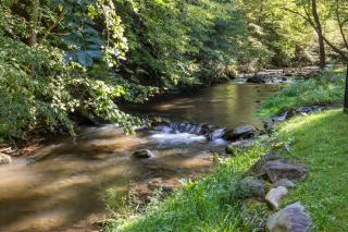 Bear Lodge at Bent Creek is a Golf Course Oasis!! - 4