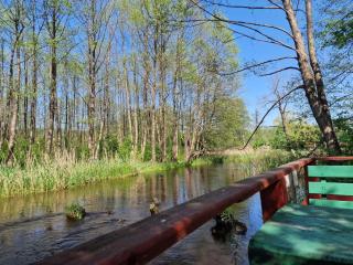 Domek Na Roztoczu - Kaczórki - 1