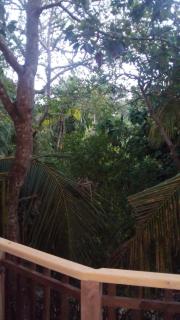 Yunal's Place - 6