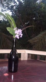 Yunal's Place - Matara - 4