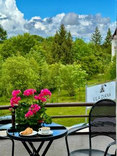 Vila Diana - Poiana Brasov with breakfast optional at hotel Simona Halep - 7