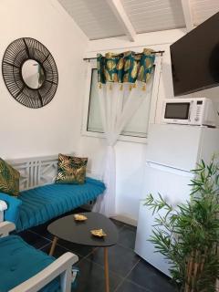 Villa charmante à Sainte-Anne avec piscine privée 20 m²... - Sainte-Anne - 7