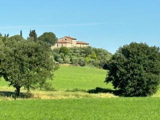 La Torre di Viepri - Asciano - 0