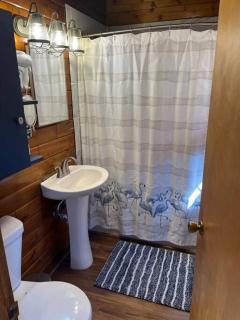 101 is all the fun - 3