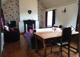 Short & Sweet Alpaca Retreat - Penrhos-Lligwy - 3