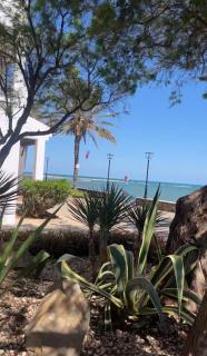Taray Beach Appartment KM 17 - San Javier - 0