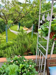 Villa "Corte de' Baldi" - 3