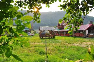 Pensiunea Cotiso - 5