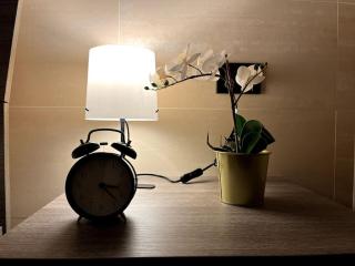 Oasi Floreale - Roma Termini - Rome - 4