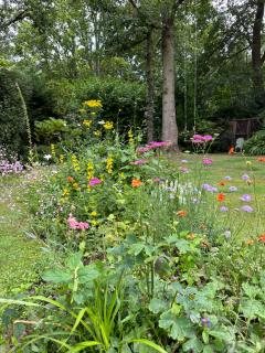 The Cabin, Roundabout Lane - West Chiltington - 6