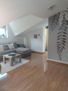 Apartman Savic - Vrnjačka Banja - 9