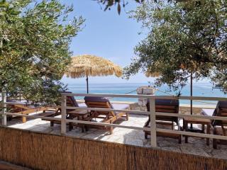 Ktima Zaxarias - Kokkala - 2