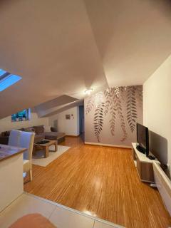 Apartman Savic - Vrnjačka Banja - 0