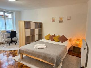Charming Studio Ideal For Getaways or Workations In Sibiu's Medieval City Center - Sibiu - 5