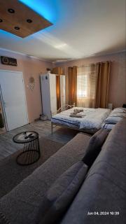 Apartman Iva - Zajecar - 9