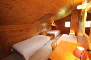 Arnica 2 - Chateau-d'Oex - 2