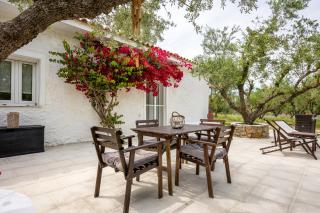 Olive House - Kalamaki - 9