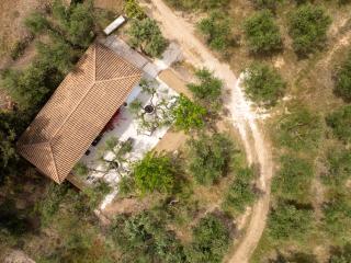 Olive House - Kalamaki - 6