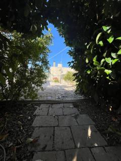 Trulli Cocolicchio - Selva di Fasano - 6