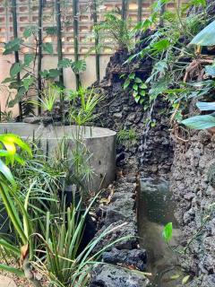 Jungle Oasis - Villa with Private Pool - Tulum - 4