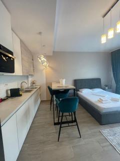 Zigon Studio by Casa Del Mar - Mamaia - 5