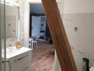 L 'appartement du Rocher - Château-du-Loir - 4