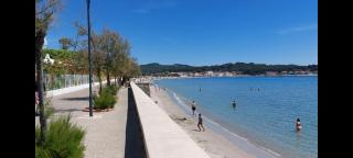 Naturetmer4 - Six-Fours-les-Plages - 9