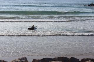 ENJOY OCEAN BEACH LIFE at COSTA DA CAPARICA! - Costa da Caparica - 7