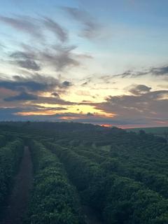 Hotel Fazenda em Brotas - HFR - 9