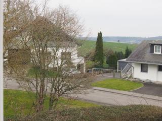 Ruhige Ferienwohnung im Hunsrück - Hungenroth - 8