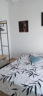 Appartement avec jardin et piscine - Roquebrune-sur Argens - 4