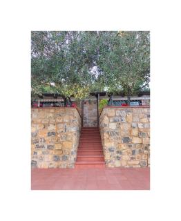 Il Sogno di Teresa - Camerota - 2