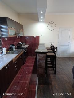 Garfield Family Apartman 1 - Soko Banja - 4